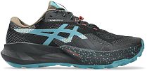 Кроссовки мужские ASICS Trabuco 14 Gtx Black/Misty Pine