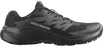 Кроссовки мужские Salomon Alphaglide Gtx Black/Asphalt/Castlerock