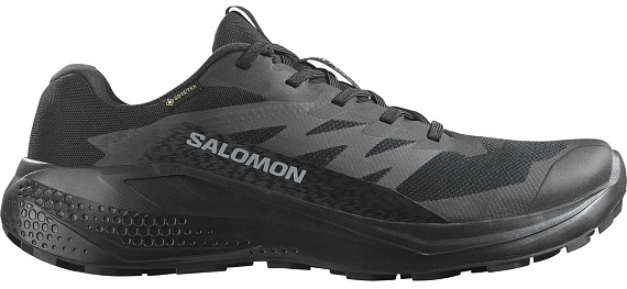 Кроссовки мужские Salomon Alphaglide Gtx Black/Asphalt/Castlerock - Фото 1 большая