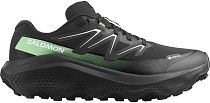 Кроссовки мужские Salomon Ultra Flow 2 Gtx Black/Black