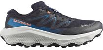 Кроссовки мужские Salomon Ultra Flow 2 Gtx Black/Mykonos Blue