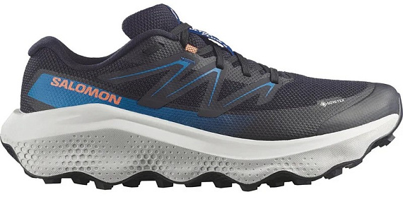 Кроссовки мужские Salomon Ultra Flow 2 Gtx Black/Mykonos Blue - Фото 1 большая