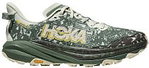 Кроссовки мужские Hoka Speedgoat 6 Gtx Sea Glass/Fern