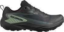 Кроссовки мужские Salomon Genesis Gtx Black/Agave Green/Urban Chic