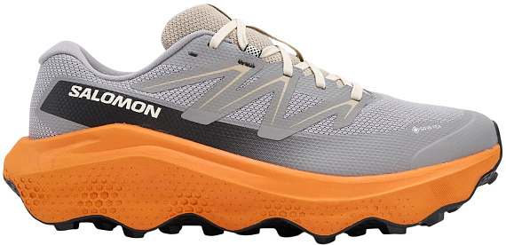 Кроссовки мужские Salomon Ultra Flow 2 Gtx Gull/Turmeric/White Pepper - Фото 1 большая