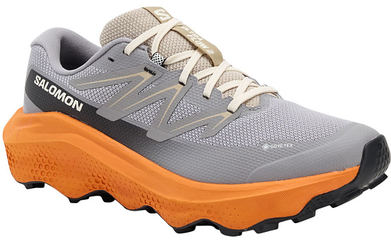 Кроссовки мужские Salomon Ultra Flow 2 Gtx Gull/Turmeric/White Pepper - Фото 4 большая