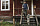 Жилет мужской Fjallraven Greenland Down Liner Night Sky - Фото 10 малая