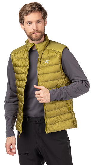 Жилет мужской Arcteryx Cerium Lt Elytron - Фото 2 большая