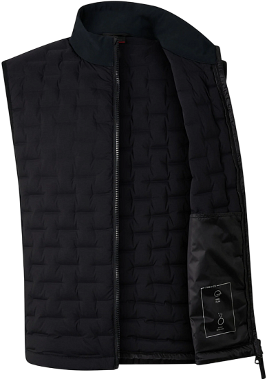 Жилет мужской Bogner Fire+Ice Gabriel3-D Black - Фото 10 большая