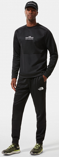 Брюки мужские The North Face Ma Fleece Tnf Black - Фото 7 большая