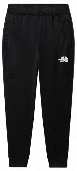 Брюки мужские The North Face Ma Fleece Tnf Black - Фото 1 большая