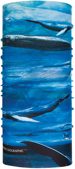 Бандана Buff National Geographic CoolNet UV+ Blue Whale - Фото 1 большая