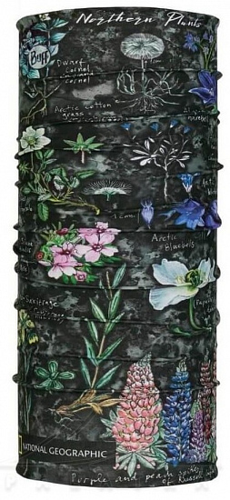 Бандана Buff National Geographic Artic Flowers Grey - Фото 1 большая