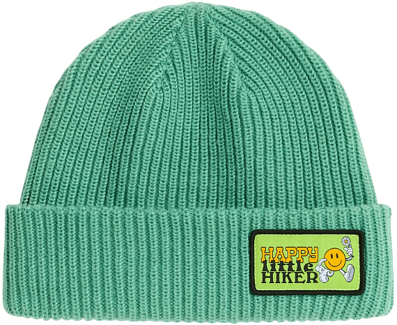 Шапка детская The North Face Salty Lined Dimmed Algae - Фото 1 большая