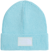 Шапка The North Face TNF Logo Box Cuffed Glacier