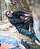 Шапка Arcteryx Mini Stripe Banner Toque Muse - Фото 2 малая