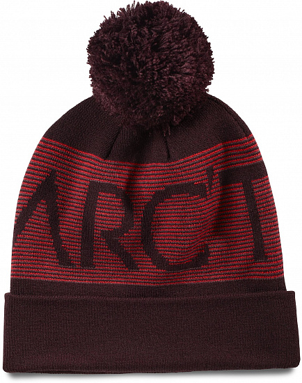 Шапка Arcteryx Mini Stripe Banner Toque Phantasm - Фото 1 большая