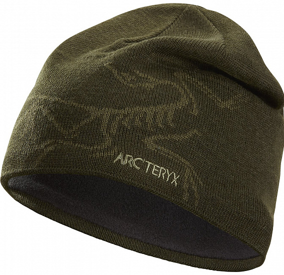 Шапка Arcteryx Bird Head Toque Anecdote/Tatsu - Фото 1 большая