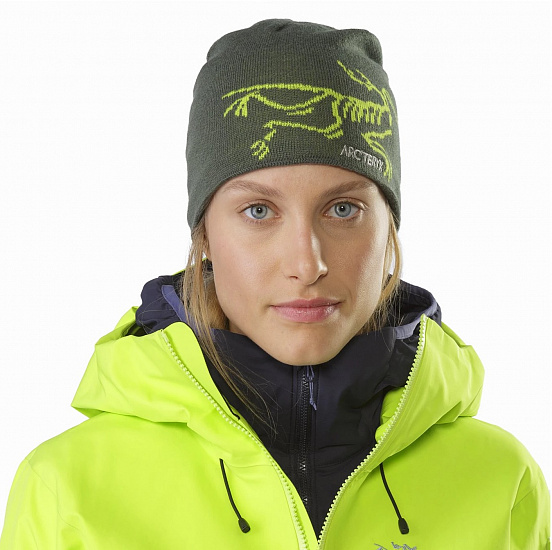 Шапка Arcteryx Bird Head Toque Shorepine/Titanite - Фото 2 большая