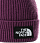 Шапка The North Face TNF Logo Box Pom Pikes Purple - Фото 2 малая