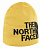 Шапка The North Face Highline Golden Spice/Tnf Black - Фото 1 малая