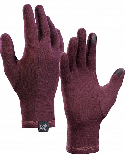 Перчатки Arcteryx Ghotic Rhapsody - Фото 1 большая