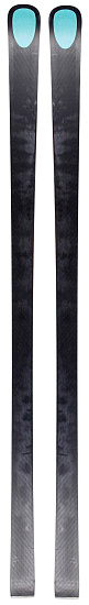 Горные лыжи Kastle Rx12 Gs Factory Fis Masters Soft - Фото 2 большая