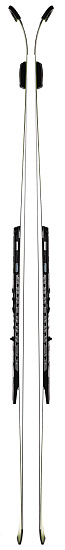 Горные лыжи мужские Volkl Racetiger SL R WC + plate 14mm + UVO - Фото 2 большая