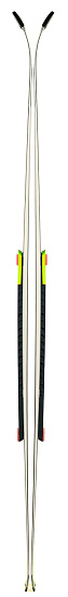 Горные лыжи мужские Fischer Rc4 Wc Sl Men Mo-Platte Medium - Фото 2 большая