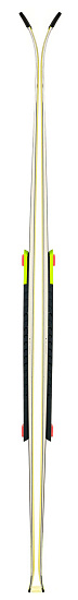 Горные лыжи мужские Fischer Rc4 Wc Sl Men Mo-Platte Stiff - Фото 2 большая