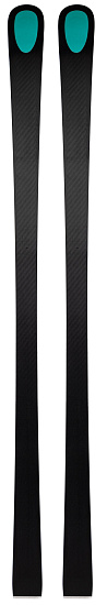 Горные лыжи Kastle Rx12 Gs Factory Fis Masters Soft - Фото 3 большая