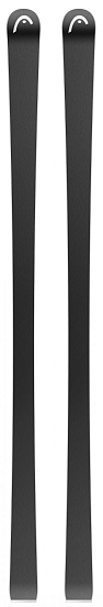 Горные лыжи Head Wc Rebels E-Gs Rd Pro Masters Wcr 14 White/Black - Фото 4 большая