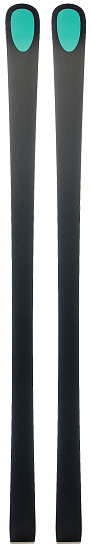 Горные лыжи Kastle RX12 GS Fact FIS PL pivot - Фото 2 большая
