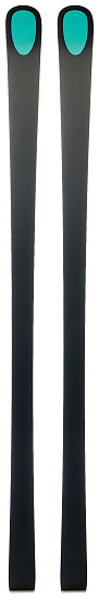 Горные лыжи Kastle RX12 GS Fact FIS S + PL10 - Фото 2 большая