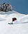 Горные лыжи Salomon N Qst Echo 106 Wht/Race B/Proce - Фото 7 малая
