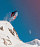 Лыжи Salomon N S/Lab Qst Blank White/Red/Process Blue - Фото 3 малая