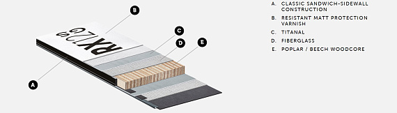 Горные лыжи Kastle RX12 GS + Race Plate FB с креплениями K14 Freeflex Evo Black - Фото 2 большая