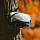 Сумка Naturehike Hydrogen 5L White - Фото 3 малая