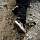 Ботинки детские Adidas Terrex Ax4R Mid Cblack/Grefou/Greysix - Фото 9 малая