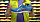 Кроссовки мужские ASICS GEL-Cumulus 21 Electric Blue/White - Фото 2 малая