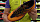 Кроссовки мужские Hoka Speedgoat 4 Gold Fusion/Black Iris - Фото 2 малая