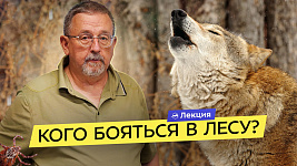 Опасные животные России. Михаил Кречмар о том, кого бояться в походе