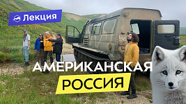 Командорские острова — гигантский морской заповедник. Как добраться и чем заняться?