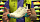 Кроссовки женские Salomon Speedcross 5 White/Bluebrd - Фото 2 малая