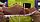 Кроссовки женские On Cloud Dustrose/Mulberry - Фото 2 малая