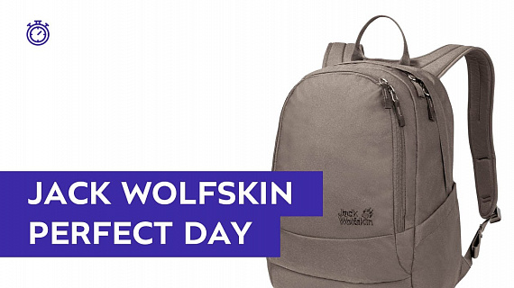 Рюкзак Jack Wolfskin Perfect Day Clay - Фото 2 большая