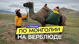 Как я купила верблюда в Монголии и отправилась на нём в путешествие