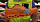 Кроссовки мужские On Cloudstratus Orange/Wash - Фото 2 малая