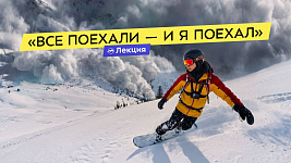 Почему мы игнорируем опасность? Психология лавин и «стадное чувство». Риск и неопределённость
